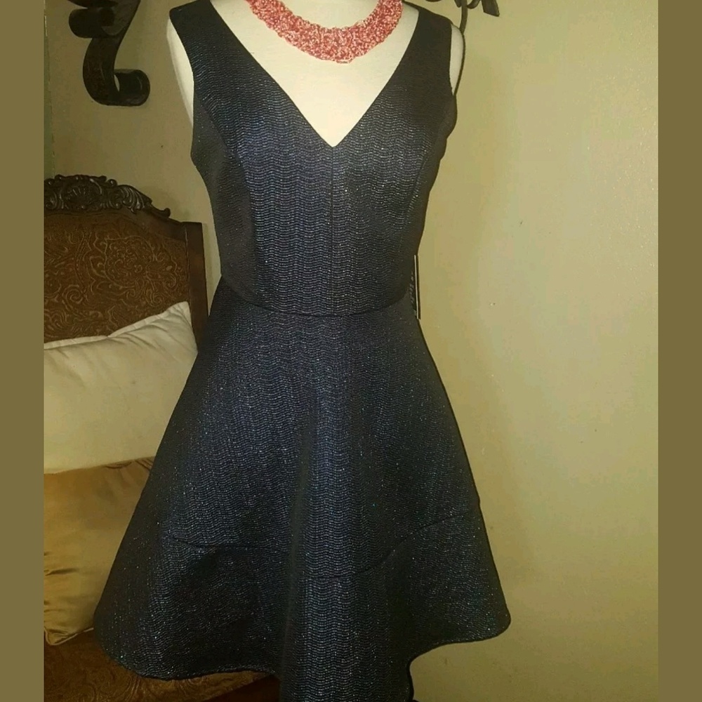 Express Navy Blue Sparkle Fit & Flare Mini Dress